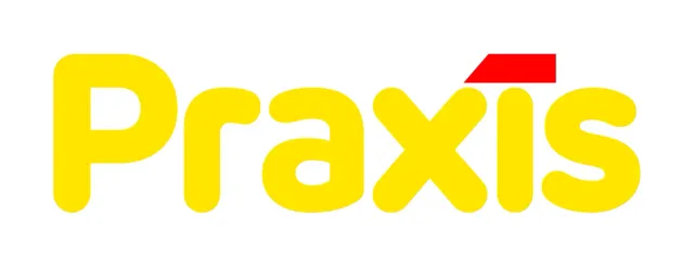 

"Praxis logo: bold text of "Praxis"
