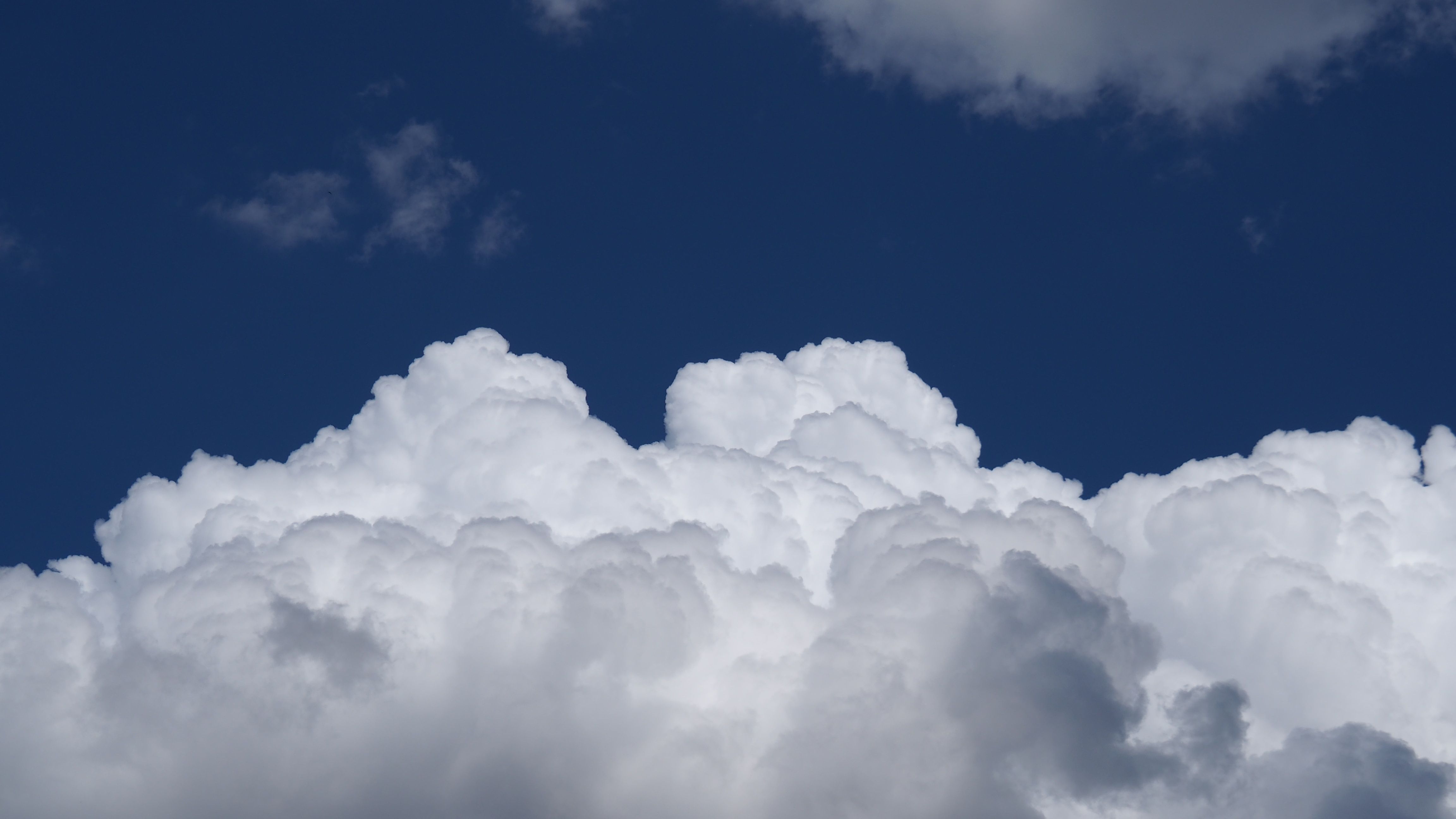 

Electric-blue sky filled with Cumulus clouds amid a majestic tree-